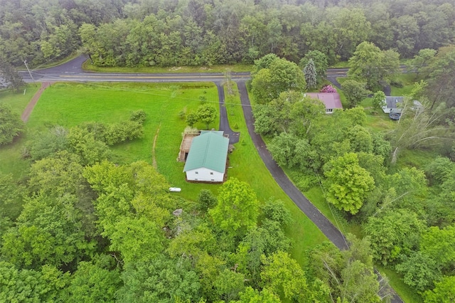 1013 Cooley Rd, Parksville, NY 12768 - photo 41