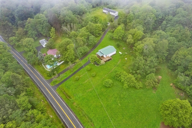 1013 Cooley Rd, Parksville, NY 12768 - photo 43