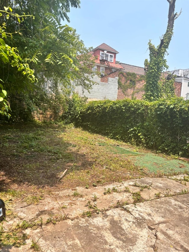 731 E 218th St, Bronx, NY 10467 - view of yard