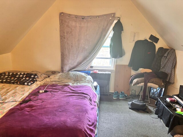 731 E 218th St, Bronx, NY 10467 - bedroom featuring vaulted ceiling and carpet