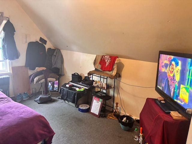 731 E 218th St, Bronx, NY 10467 - bedroom with carpet and lofted ceiling