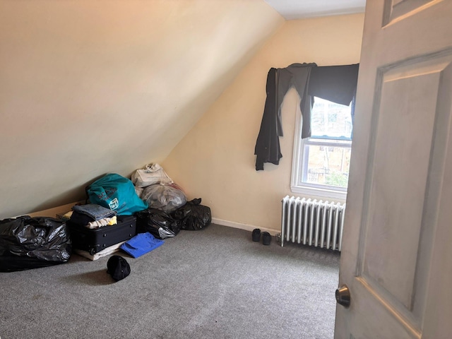 731 E 218th St, Bronx, NY 10467 - additional living space with radiator, vaulted ceiling, and carpet