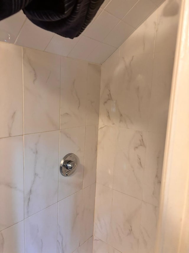 731 E 218th St, Bronx, NY 10467 - bathroom view of a tile shower