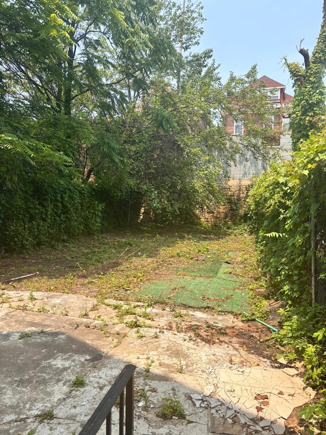 731 E 218th St, Bronx, NY 10467 - view of yard