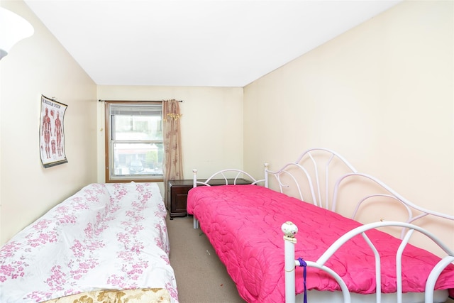 124 Herzl St, Brooklyn, NY 11212 - view of carpeted bedroom