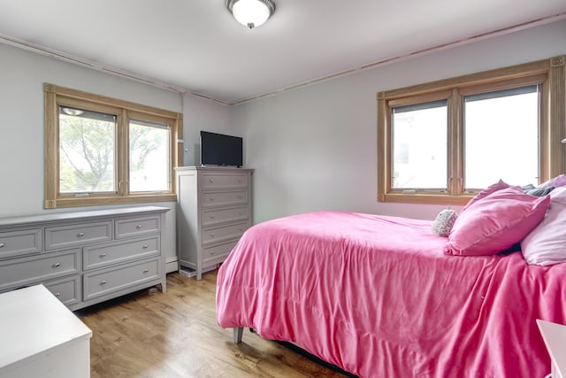 27 Suzanne Ln, Bethpage, NY 11714 - bedroom with light wood-type flooring and ornamental molding