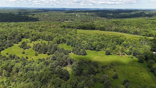 342 Bernas Rd, Cochecton, NY 12726 - aerial view of a forest