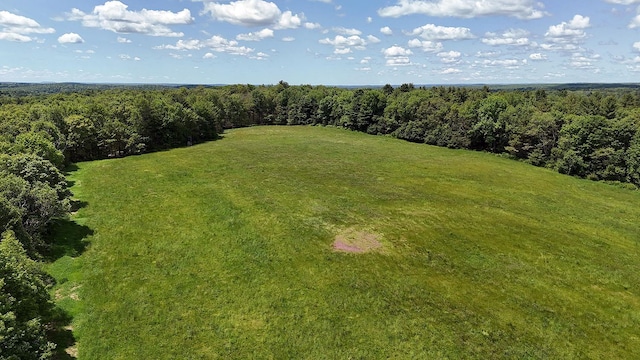 342 Bernas Rd, Cochecton, NY 12726 - drone / aerial view of a heavily wooded area