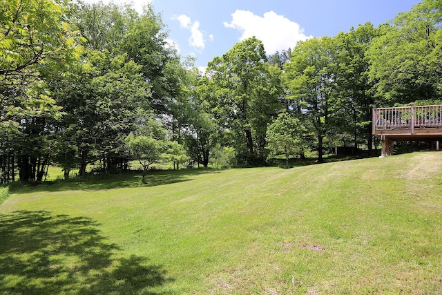 342 Bernas Rd, Cochecton, NY 12726 - view of green lawn featuring a deck