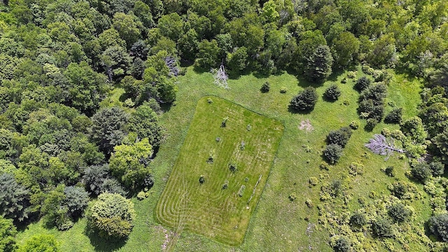 342 Bernas Rd, Cochecton, NY 12726 - bird's eye view