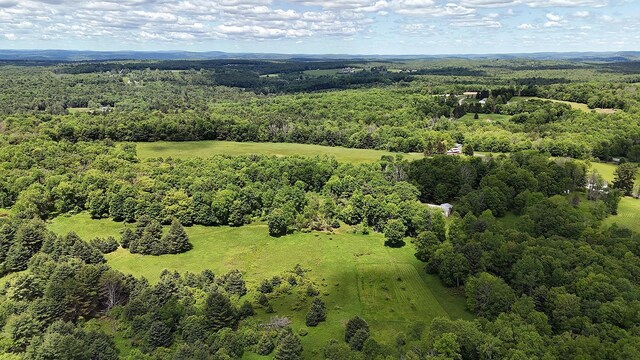 342 Bernas Rd, Cochecton, NY 12726 - aerial view of a heavily wooded area
