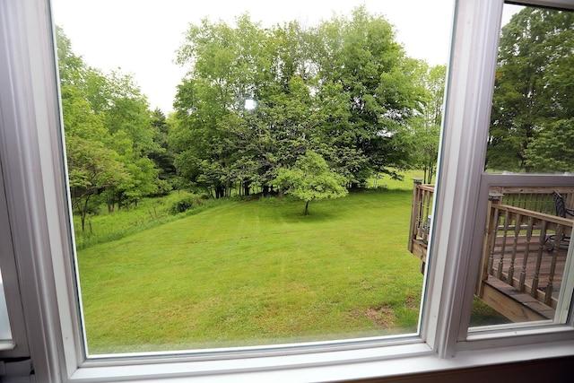 342 Bernas Rd, Cochecton, NY 12726 - view of green lawn