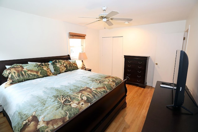 342 Bernas Rd, Cochecton, NY 12726 - bedroom with a closet, light wood-style floors, and a ceiling fan