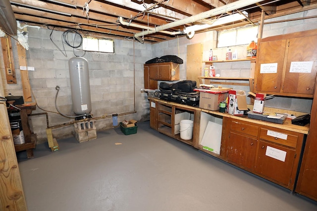 342 Bernas Rd, Cochecton, NY 12726 - basement featuring water heater