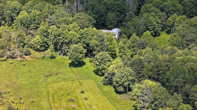 342 Bernas Rd, Cochecton, NY 12726 - aerial view of a forest