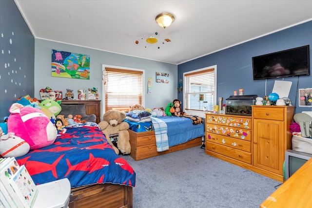 487 Sunnybrook Dr, Oceanside, NY 11572 - carpeted bedroom with multiple windows