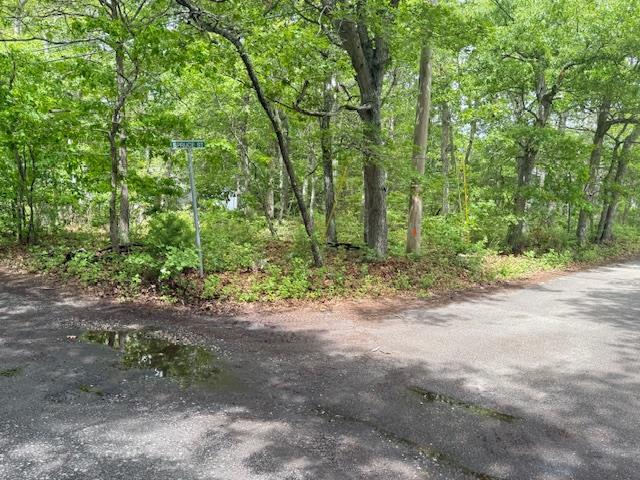 62 Shore Rd, Hampton Bays, NY 11946 - photo 2