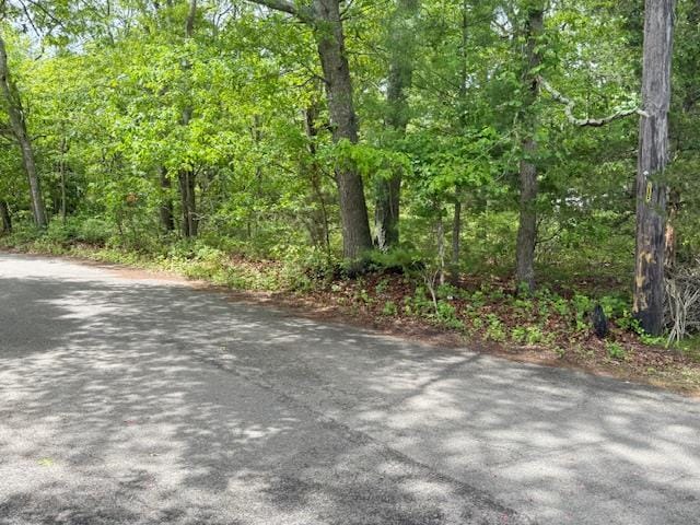 62 Shore Rd, Hampton Bays, NY 11946 - photo 3