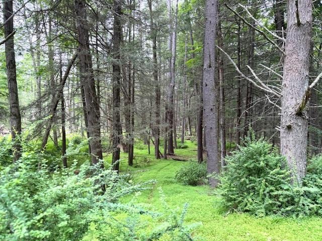131 Old Plank Rd, Sparrowbush, NY 12780 - photo 2