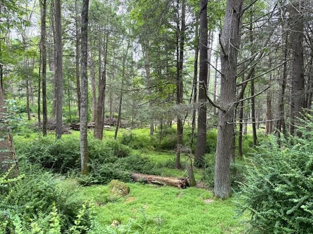 131 Old Plank Rd, Sparrowbush, NY 12780 - photo 3