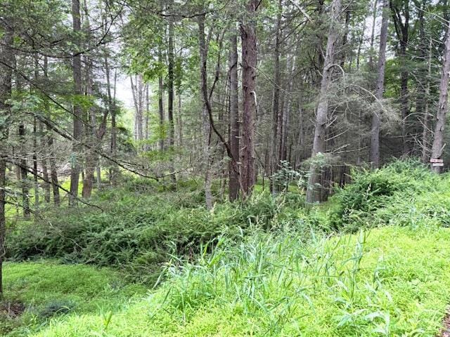 131 Old Plank Rd, Sparrowbush, NY 12780 - photo 4