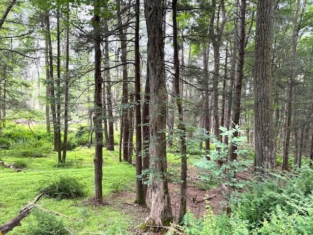 131 Old Plank Rd, Sparrowbush, NY 12780 - photo 5