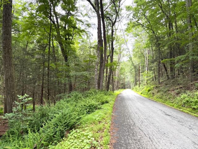 131 Old Plank Rd, Sparrowbush, NY 12780 - photo 6