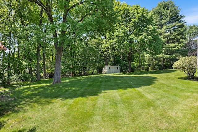 18 Halsey Pl, Valhalla, NY 10595 - view of green lawn