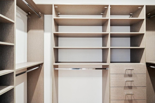 21 Arista Dr, Dix Hills, NY 11746 - view of spacious closet