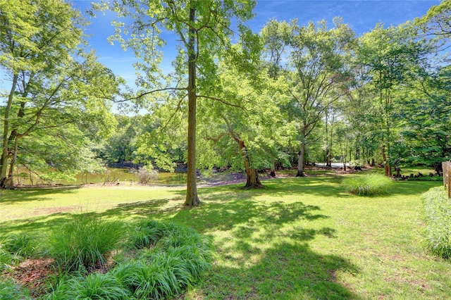 21WEST Bartlett Rd, Middle Island, NY 11953 - photo 35