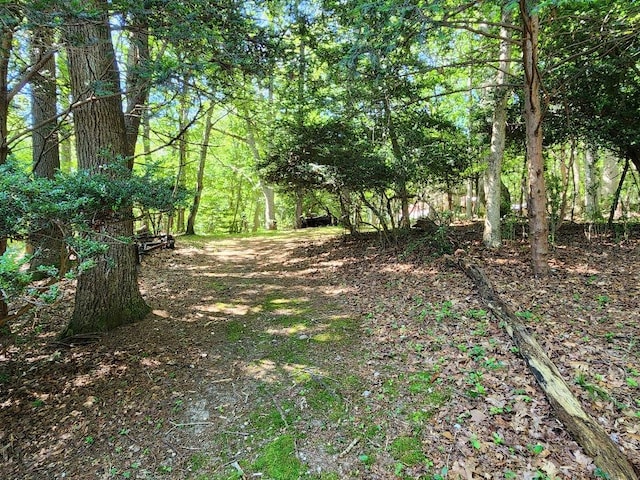 21WEST Bartlett Rd, Middle Island, NY 11953 - photo 27