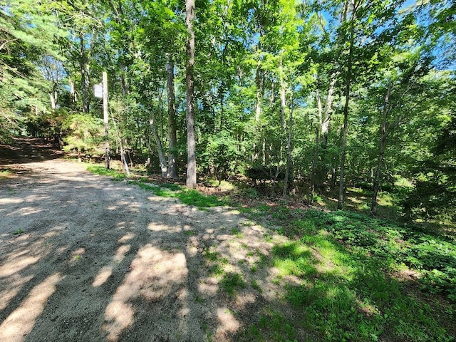 21WEST Bartlett Rd, Middle Island, NY 11953 - photo 29