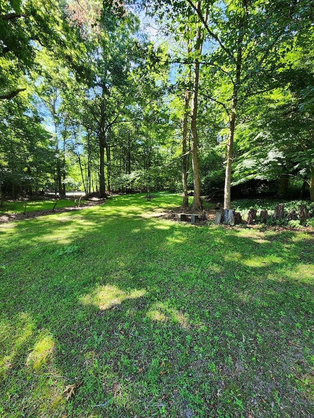 21WEST Bartlett Rd, Middle Island, NY 11953 - photo 30