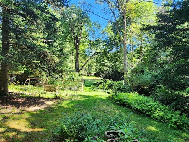 21WEST Bartlett Rd, Middle Island, NY 11953 - photo 31