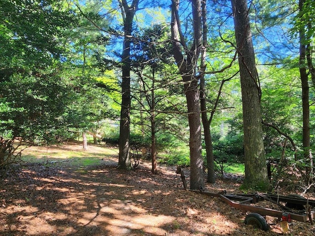 21WEST Bartlett Rd, Middle Island, NY 11953 - photo 32