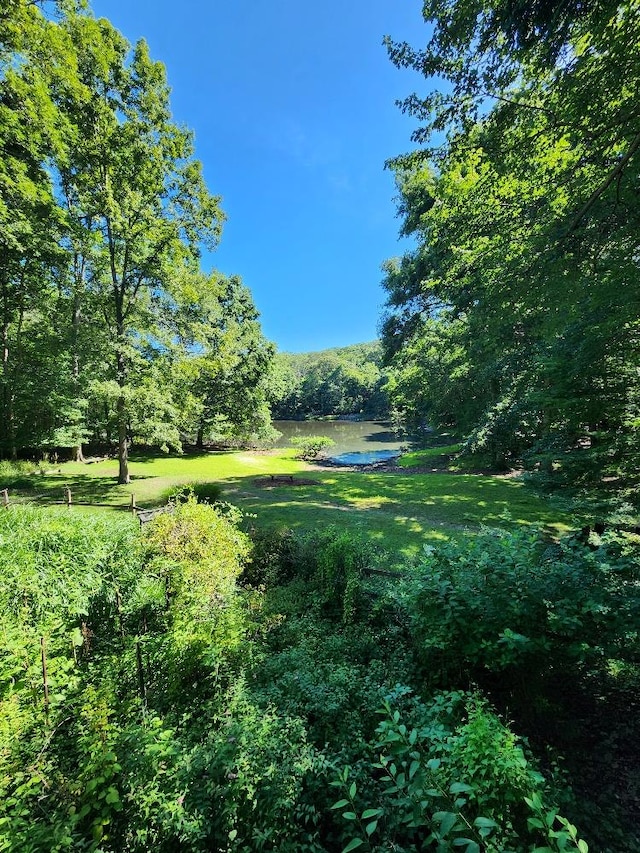 21WEST Bartlett Rd, Middle Island, NY 11953 - photo 34