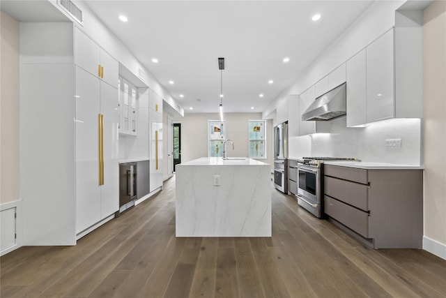 2118 45th Ave Unit 1And 2, Long Island City, NY 11101 - kitchen featuring under cabinet range hood, appliances with stainless steel finishes, modern cabinets, white cabinetry, and a kitchen island with sink