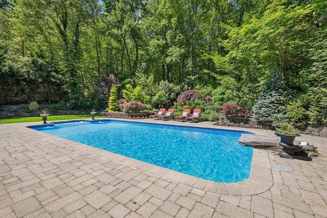 1 Highwoods Rd, Saint James, NY 11780 - swimming pool featuring a patio