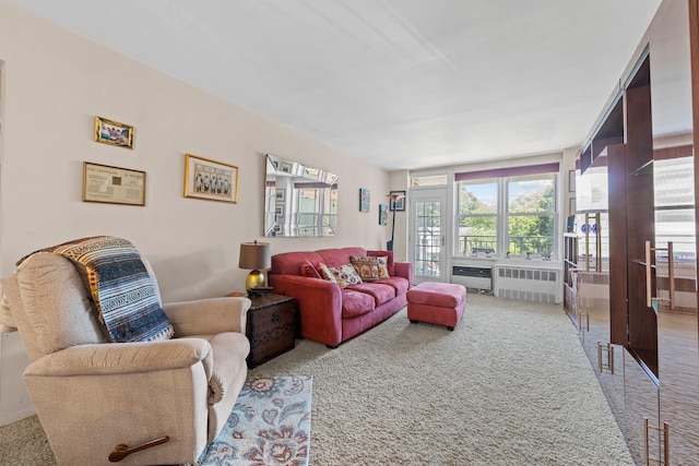 68-20 Selfridge St Unit 2F, Forest Hills, NY 11375 - carpeted living area featuring radiator heating unit