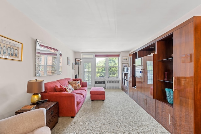 68-20 Selfridge St Unit 2F, Forest Hills, NY 11375 - living area featuring carpet floors and radiator