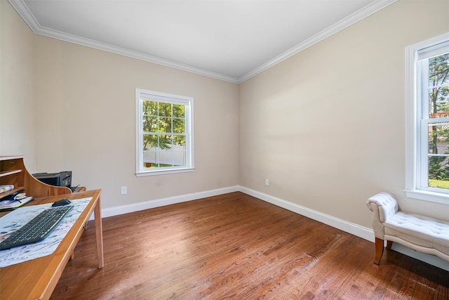 41 Moison Rd N, Blauvelt, NY 10913 - photo 15