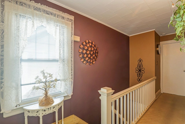95-01 72nd Ave, Forest Hills, NY 11375 - corridor featuring crown molding, an upstairs landing, and carpet