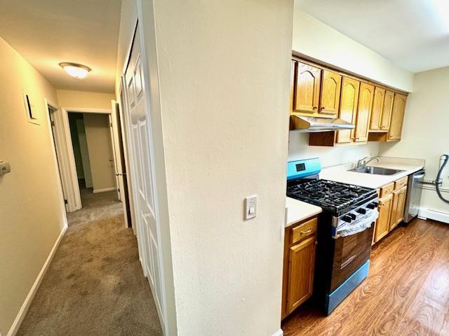 1668 Rte 9 Unit 13E, Wappingers Falls, NY 12590 - kitchen with stainless steel appliances, a sink, under cabinet range hood, and light countertops