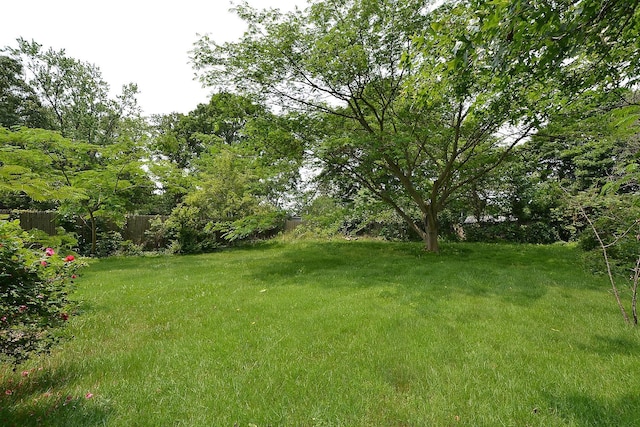 1578 N Thompson Dr, Bay Shore, NY 11706 - view of grassy yard
