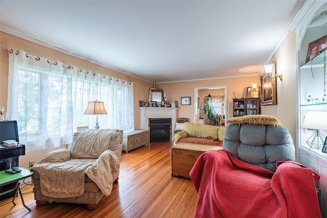 103 Fairfield Ave, Mineola, NY 11501 - living room with plenty of natural light, light wood-type flooring, crown molding, and a glass covered fireplace