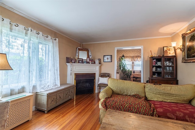103 Fairfield Ave, Mineola, NY 11501 - living room with light wood-style floors, ornamental molding, and a fireplace