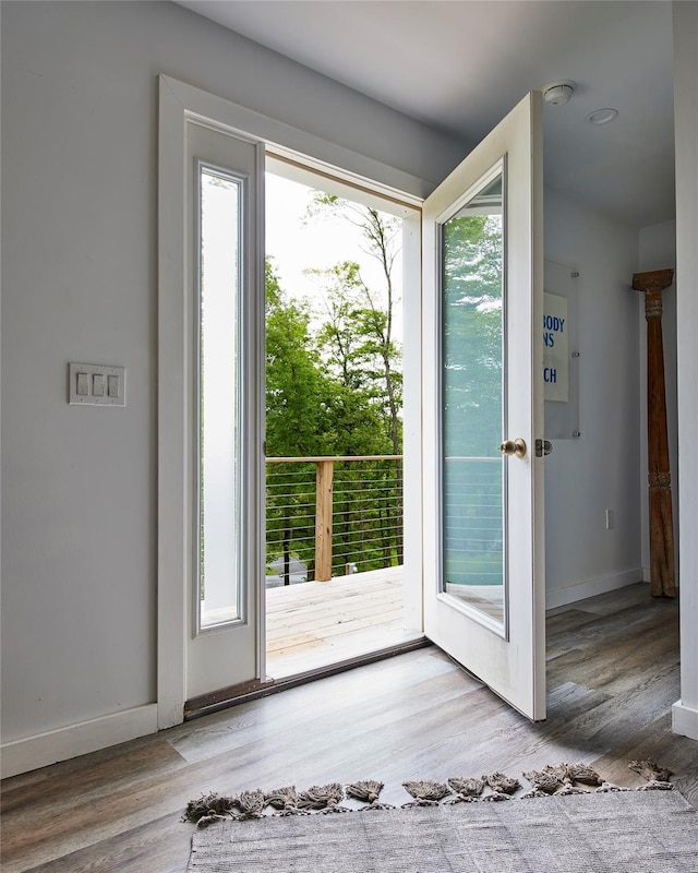 546 Willowemoc Rd, Livingston Manor, NY 12758 - doorway featuring healthy amount of natural light, wood finished floors, and baseboards