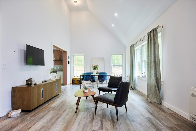 546 Willowemoc Rd, Livingston Manor, NY 12758 - living room with high vaulted ceiling, light wood-style floors, and baseboards