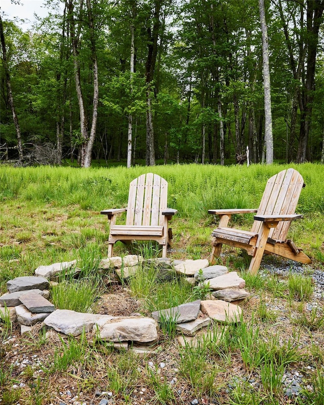 546 Willowemoc Rd, Livingston Manor, NY 12758 - view of yard