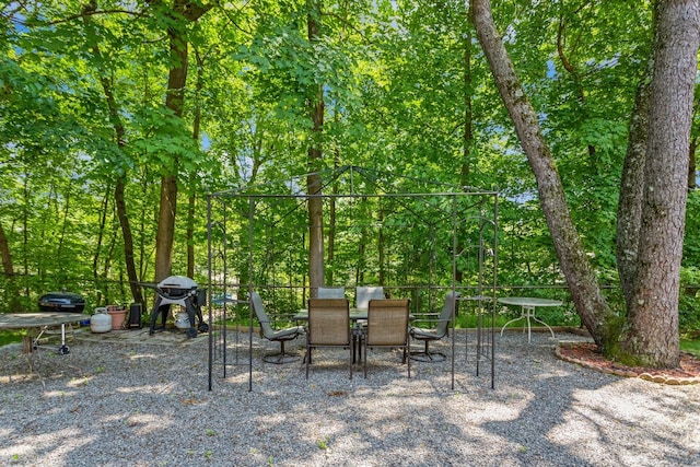 352 N State Rd Unit 2H, Briarcliff Manor, NY 10510 - view of patio featuring outdoor dining space and grilling area